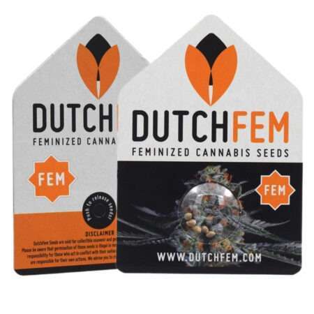 feminized cannabis seeds