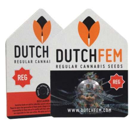regular cannabis seeds