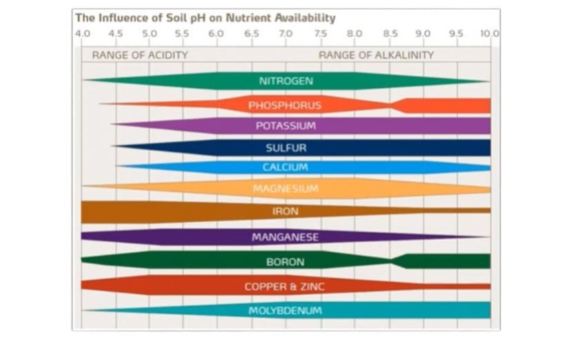 pH et d'EC Tests de sur le sol pour une culture optimale du cannabis